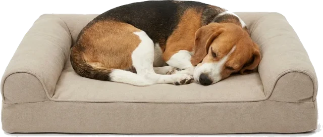 Beagle dormindo tranquilo na caminha