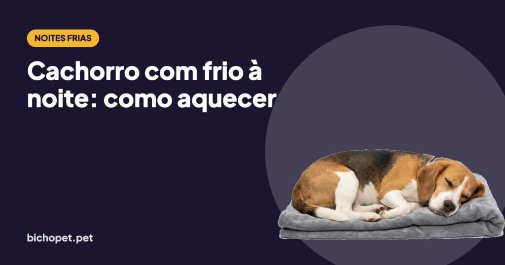 Beagle dormindo enrolado na manta: como aquecer o cachorro à noite