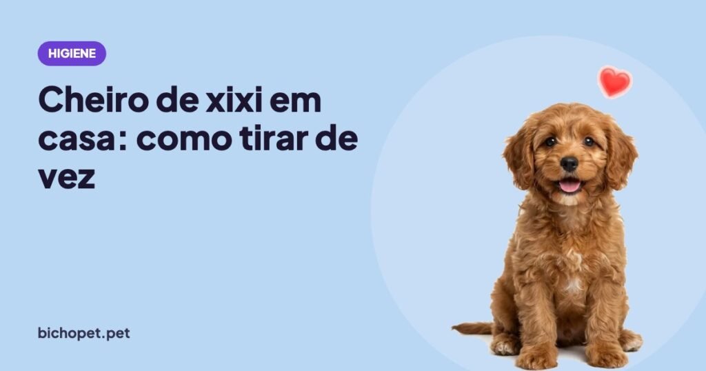 Filhote feliz: como tirar o cheiro de xixi de cachorro