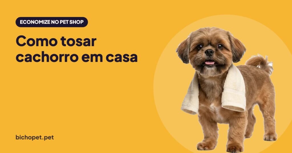 Shih-tzu recém-tosado: como tosar cachorro em casa