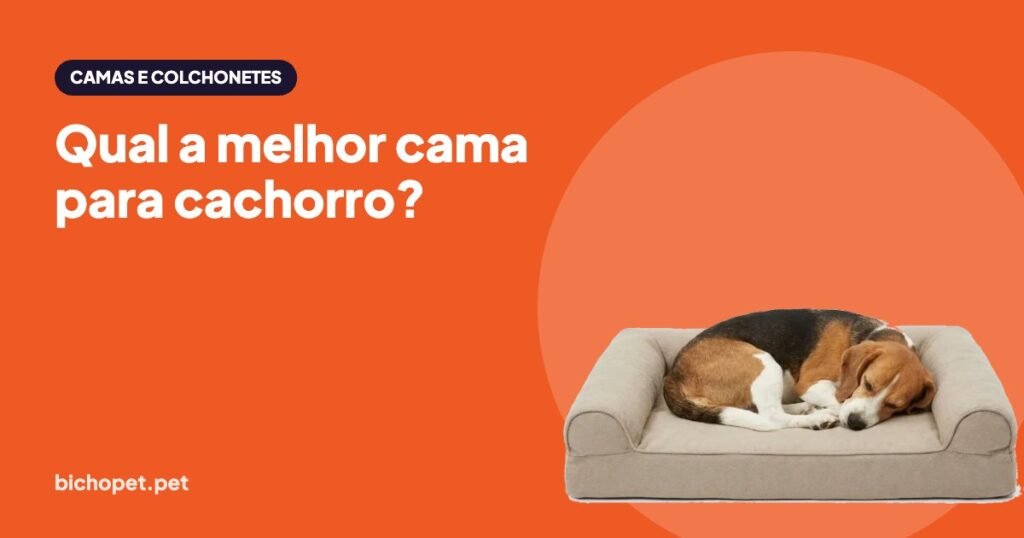 Beagle dormindo na caminha: como escolher a melhor cama para cachorro