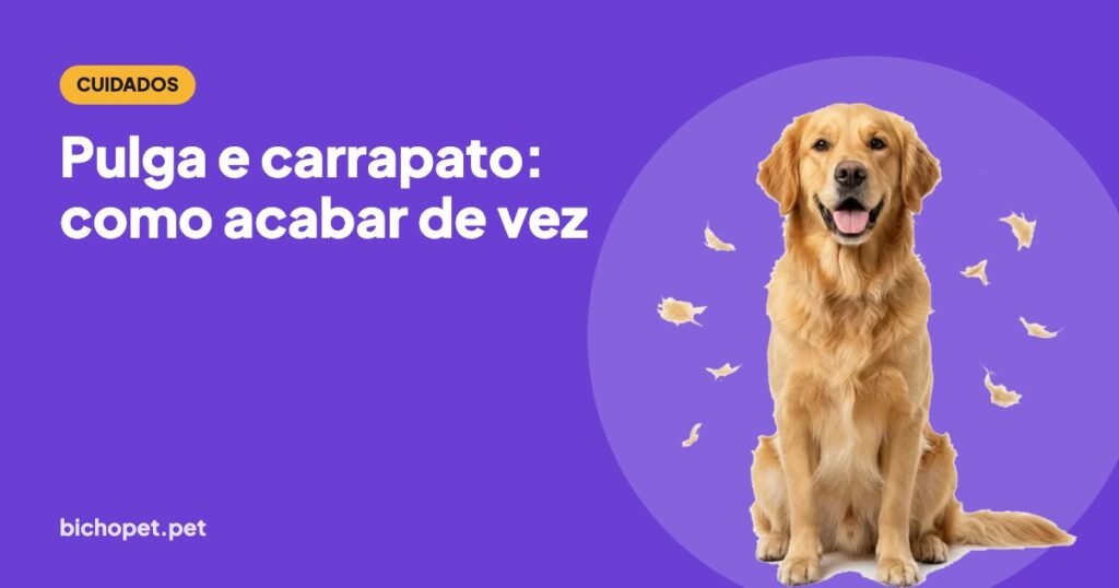 Golden retriever: como acabar com pulga e carrapato em cachorro