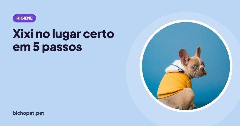 Cachorro de moletom: como ensinar o cachorro a fazer xixi no lugar certo